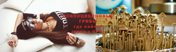 прущий лед Алексеевка