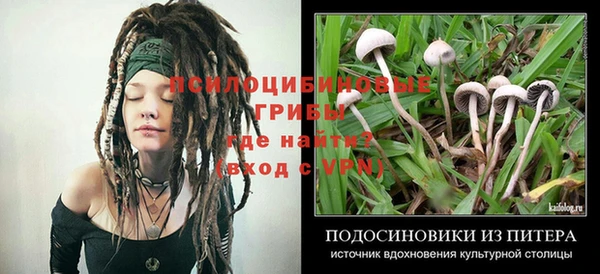 MESCALINE Алзамай