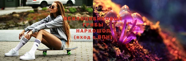 MESCALINE Алзамай