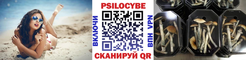 цены   Межгорье  Галлюциногенные грибы прущие грибы 